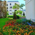 Life in mountain view hyde park