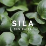 Sila