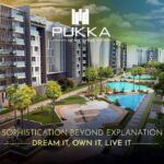 بوكا العاصمة الإدارية الجديدة