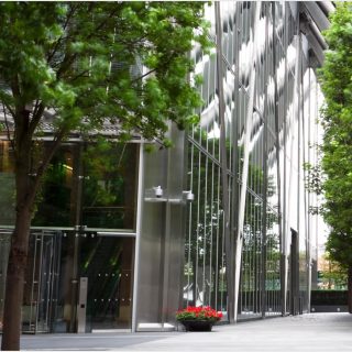 كمبوند سوان ليك التجمع الأول حسن علام – Swan Lake Hassan Allam Residence New Cairo