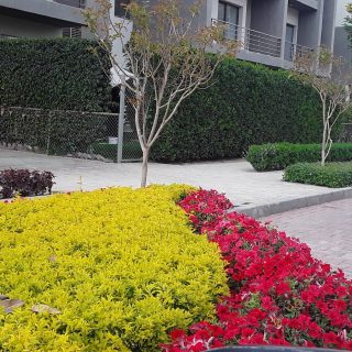 كمبوند فيفث سكوير المراسم التجمع الخامس – fifth square marasem