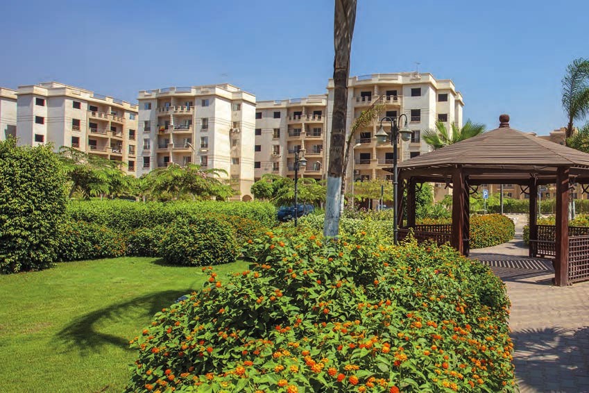 compound beta greens new cairo