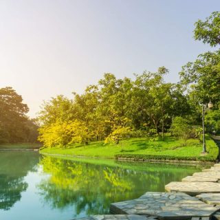 كمبوند بلوم فيلدز مدينة المستقبل تطوير مصر Bloomfields Mostakbal City Compound