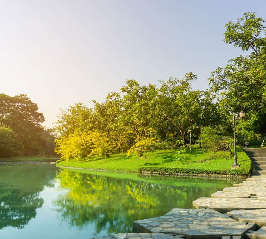 كمبوند بلوم فيلدز مدينة المستقبل تطوير مصر Bloomfields Mostakbal City Compound