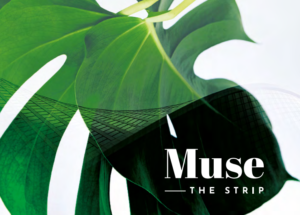 مول ذا ميوز القاهرة الجديدة - The Muse New Cairo Mall