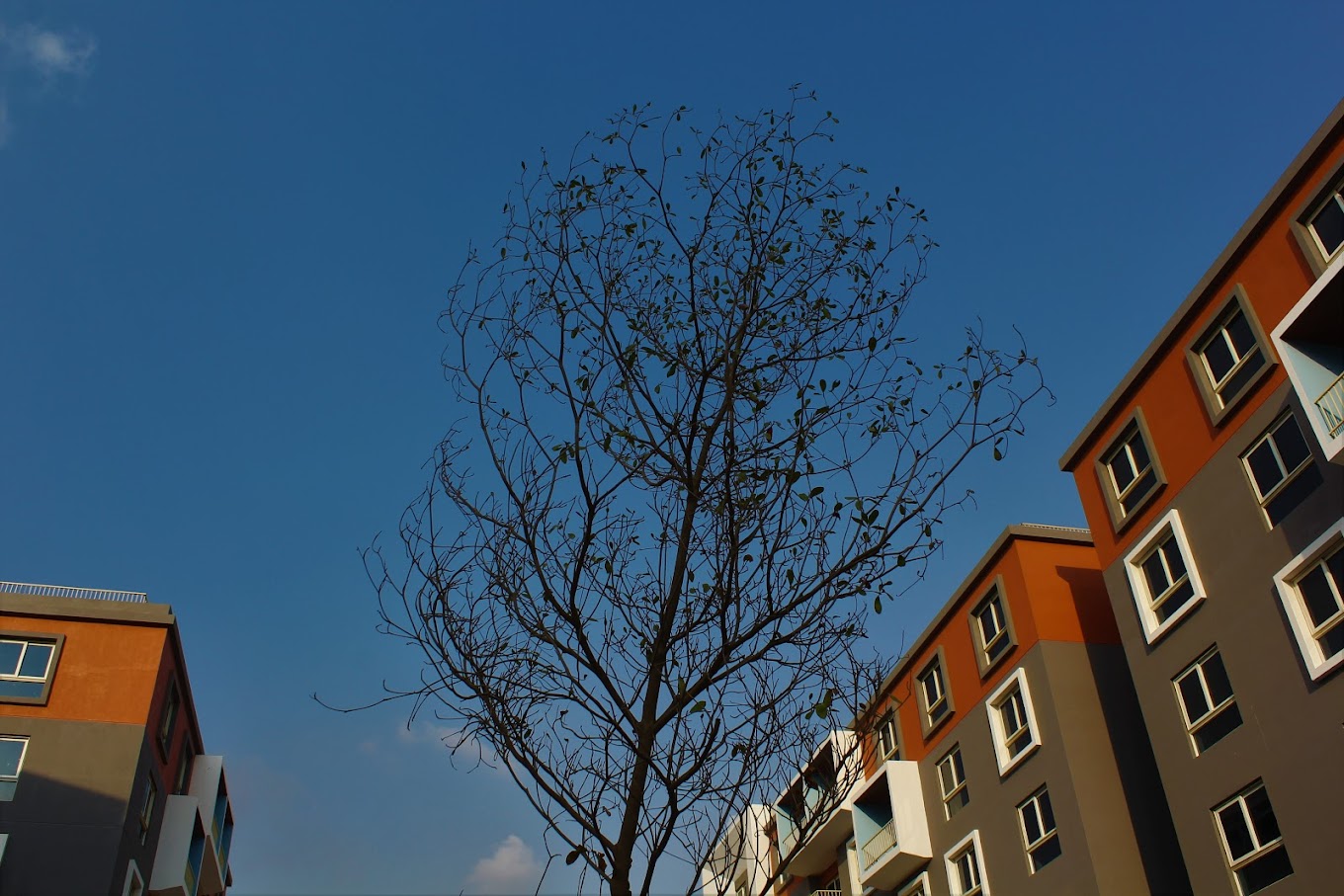 Amorada New Cairo Compound AFAQ