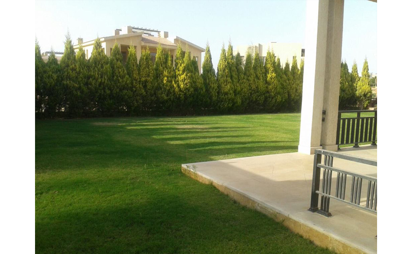 the allegria compound Sheikh Zayed Sodic
