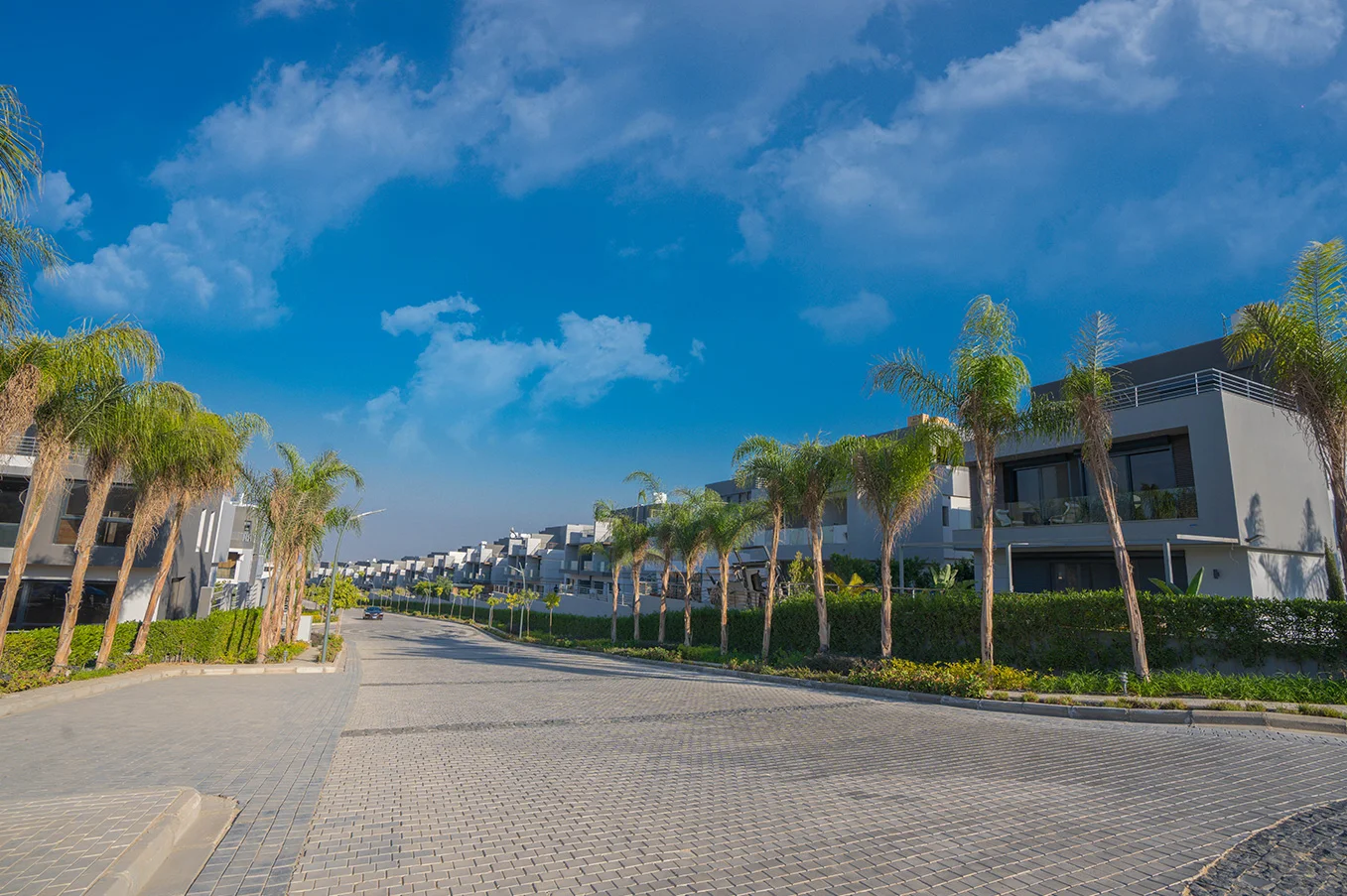 El patio el zahraa Sheikh Zayed