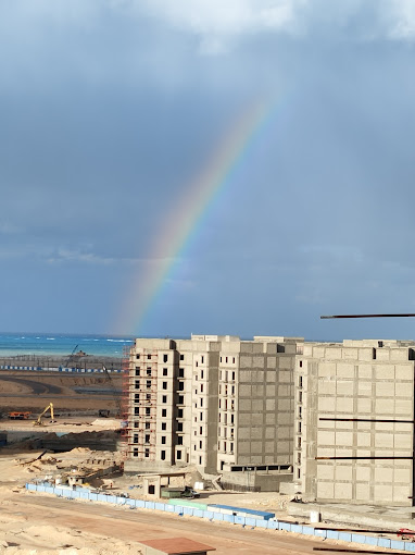 latin district new alamein SED Development