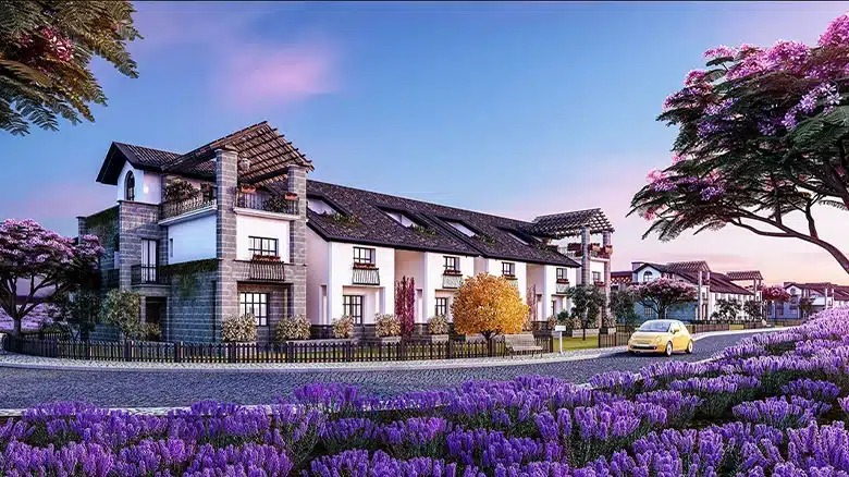 Lavande 6 October Compound Arco