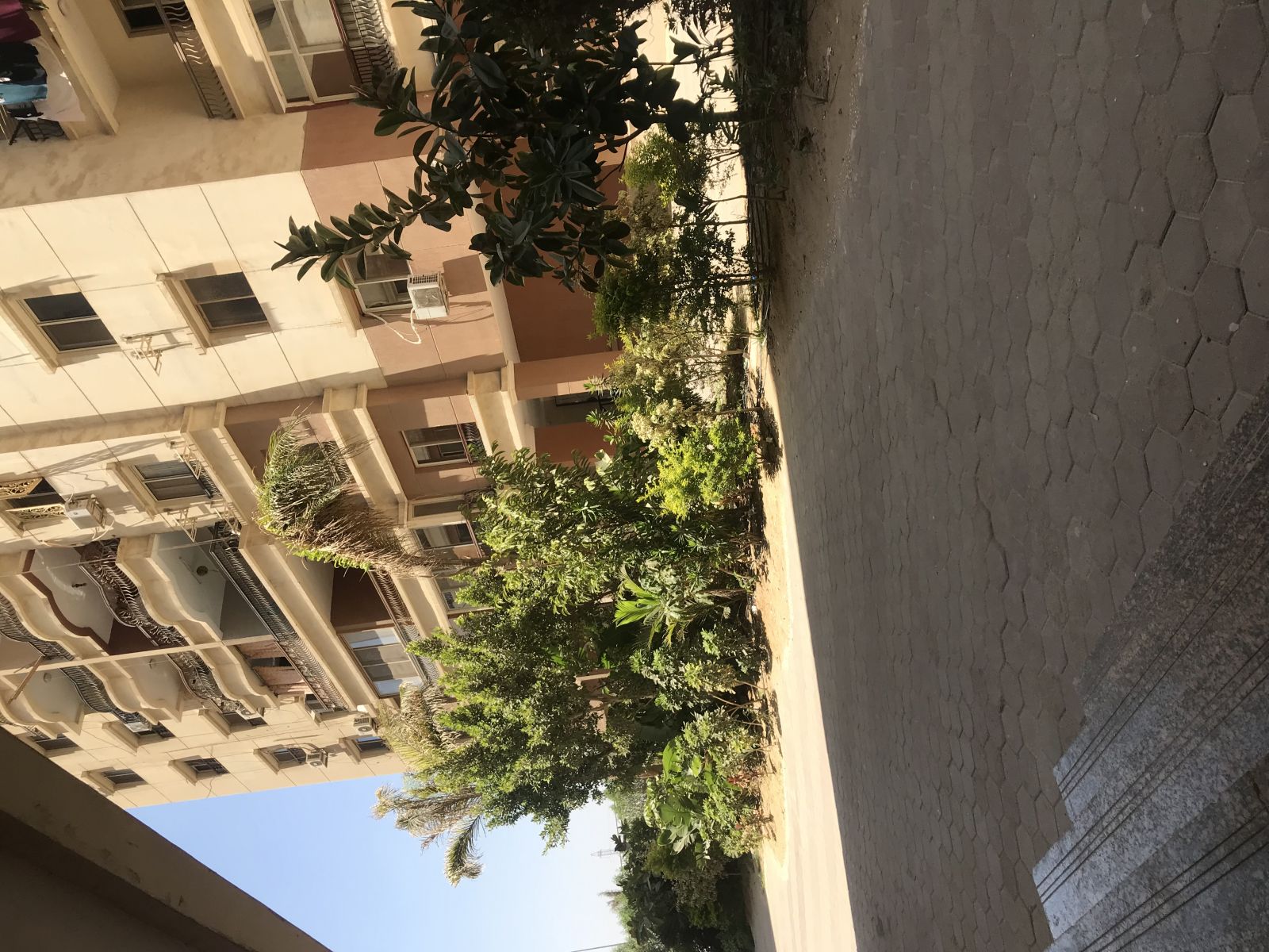 Arena City Towers Nasr City Structure Line