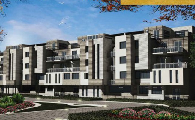 Trillium Compound 6 October El Hakim