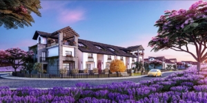 Lavande 6 October Compound Arco