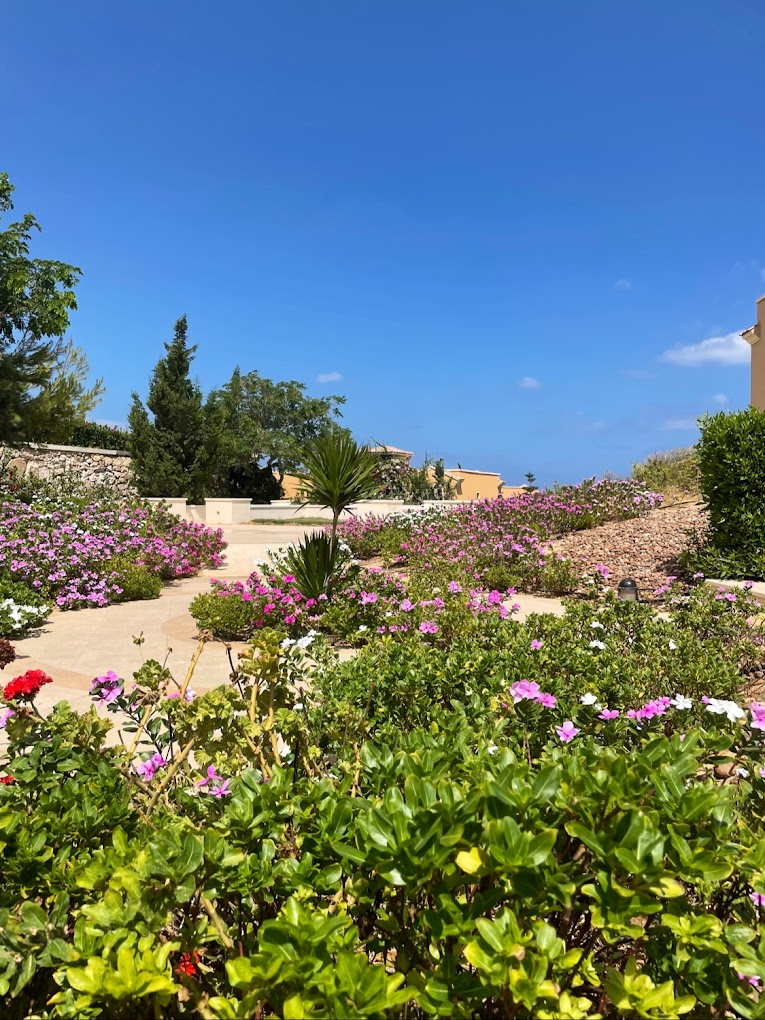 قرية الدبلوماسيين الساحل الشمالي ماونتن فيو – Mountain View Diplomats North Coast