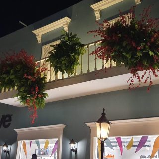 ليك يارد الساحل الشمالي بالم هيلز – Lake Yard North Coast