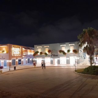 ليك يارد الساحل الشمالي بالم هيلز – Lake Yard North Coast