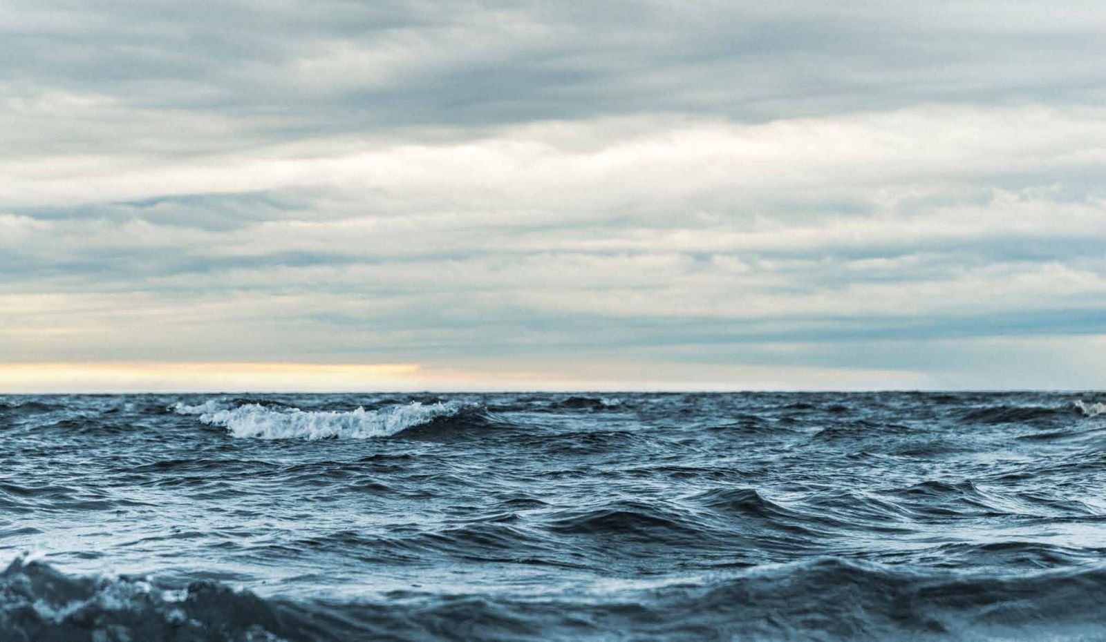 تفاصيل بيع استوديو بمساحة 54 متر في مشروع أبراج العلمين الجديدة