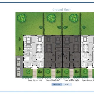 Azzar North Coast Reedy Group