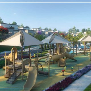 Azzar North Coast Reedy Group