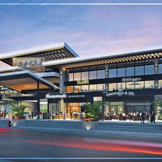 Azzar North Coast Reedy Group