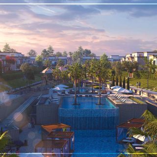 Azzar North Coast Reedy Group