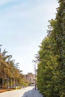 Ashgar City Compound October Compound by IGI