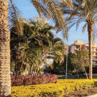 Ashgar City Compound October Compound by IGI