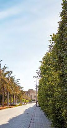 Ashgar City Compound October Compound by IGI