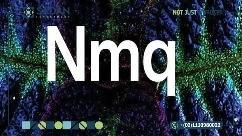 كمبوند نمق الشيخ زايد ميلي العقارية – Nmq El Sheikh Zayed Compound