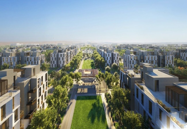 solimar compound New Zayed