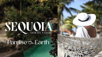 قرية سيكويا الساحل الشمالي رأس الحكمة عدن - Sequoia North Coast