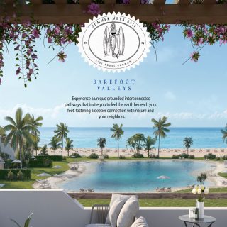 plage mountain view North Coast