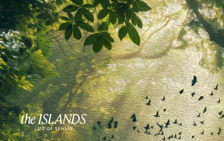 كمبوند ذا ايلاند العاصمة الإدارية الجديدة إيجي جاب للتطوير العقاري – The Island New Capital Compound