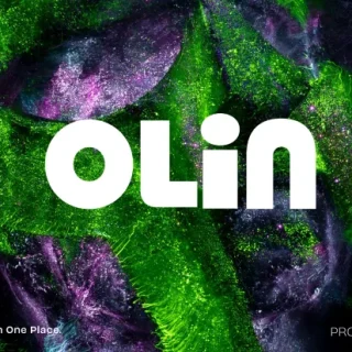 Olin New Cairo Mall Mass Developments