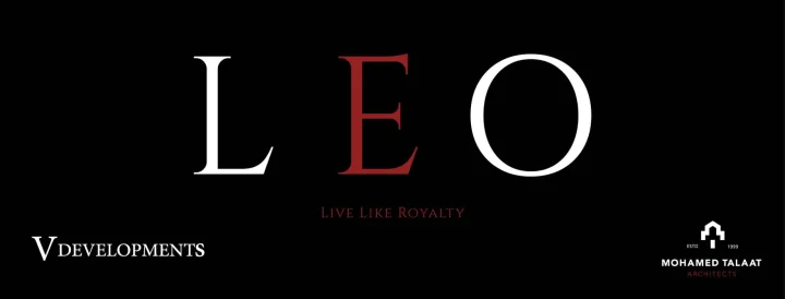 مول ليو تاور العاصمة الإداريه في للتطوير العقاري - Leo Tower Mall New Capital