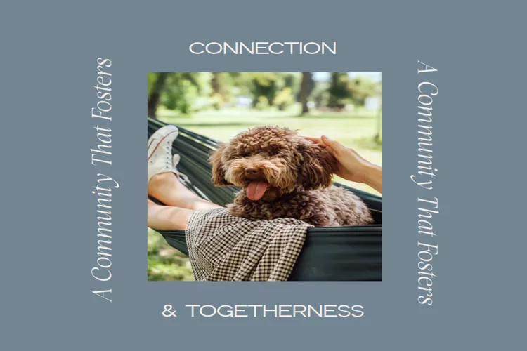 31 west compound M Squared Developments