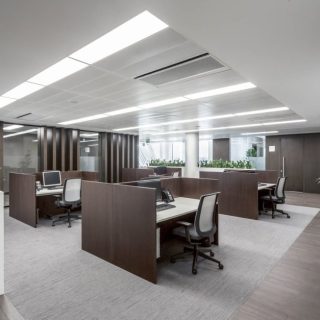 وحدات الطبية تشطيب كامل في مول بالس جرين سكوير احجز الان