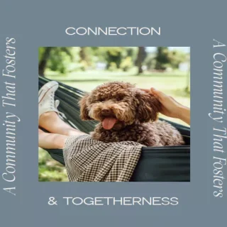 31 west compound M Squared Developments