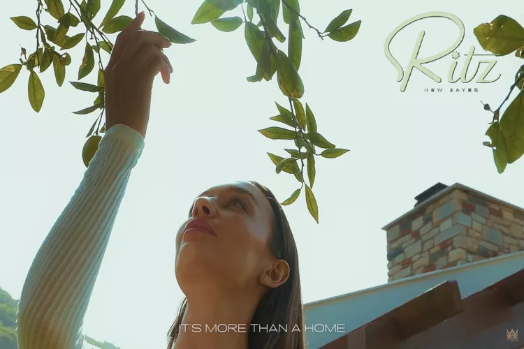 Ritz New Zayed Compound Arqa Developments